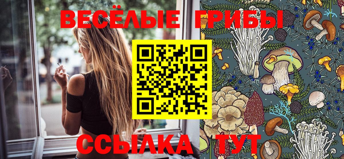 Коряжма  Псилоцибиновые грибы Cubensis  Галлюциногенные грибы MAGIC MUSHROOMS  Вход с VPN 