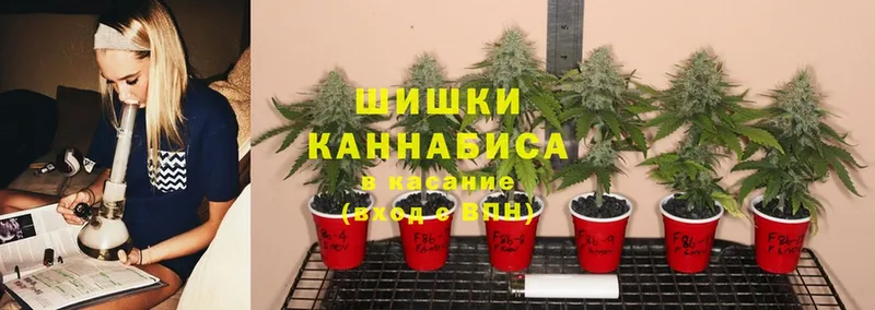 МАРИХУАНА Ganja  продажа наркотиков  Коряжма 